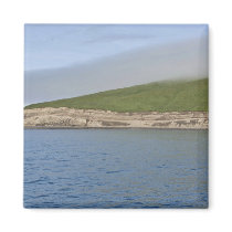 Kasatochi Island bluffs, Andreanof Islands Refrigerator Magnets