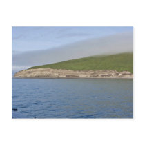 Kasatochi Island bluffs, Andreanof Islands Post Card