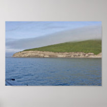 Kasatochi Island bluffs, Andreanof Islands Posters