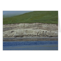 Kasatochi Island bluffs Cards