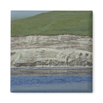 Kasatochi Island bluffs Magnet