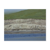 Kasatochi Island bluffs Postcards