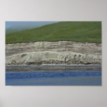 Kasatochi Island bluffs Print