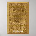kasha2008, It'S A Pits World posters