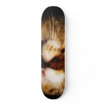 Kat Boarder Skateboard Decks