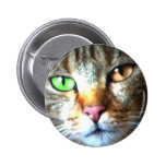 Kat Buttons