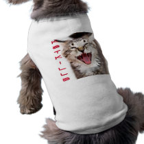 Kat Killa pet clothing