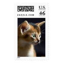kat stamps