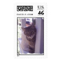 Kat Stamp