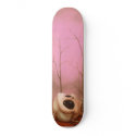 Kathie Olivas / Co Conspirator 2 skateboards