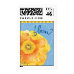Kathy Davis - Spring Bloom Stamp