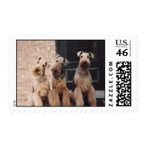 kati-bravo-yankee postage
