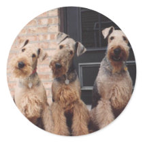 kati-bravo-yankee stickers