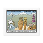 Katmandu &amp; Dogmandu Cartoon Funny Postcards