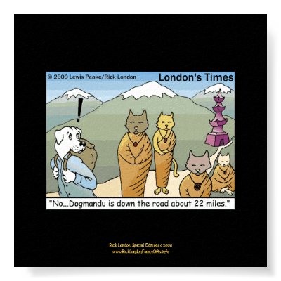 Katmandu & Dogmandu Cartoon Funny Poster by beardiethor123