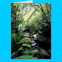 KATOOMBA cards