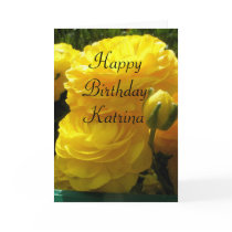 Katrina cards by lollypopgirrrl Katrina cards