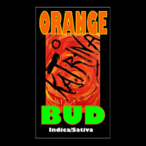 KATRINA ORANGE BUD posters
