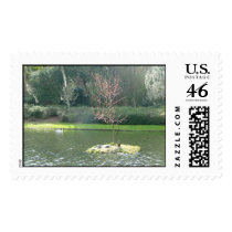 katya's Gallery postage by katya24 katya's Gallery postage