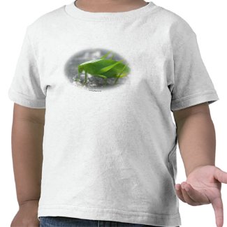Katydid Grasshopper Nature Photo Cotton T-Shirt shirt