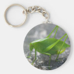 Katydid Grasshopper Nature Photo Keychain Keyring