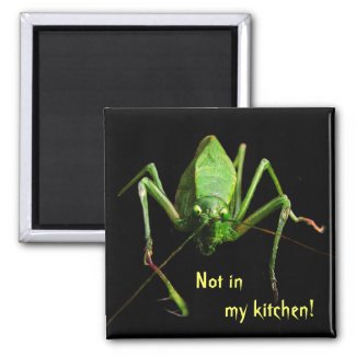Katydid in the Kitchen magnet