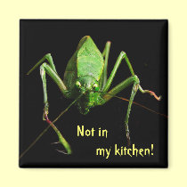 Katydid in the Kitchen magnets