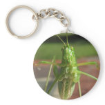 Katydid ~ keychain