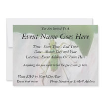 Katydid Nymph - Scudderia Furcata Personalized Invites