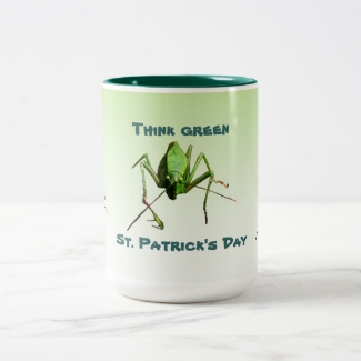 Katydid St. Patricks Day