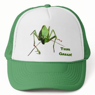 Katydid Think Green hat