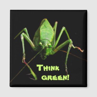 Katydid Think Green