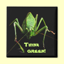 Katydid Think Green magnets