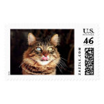 katz11 stamps