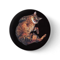 katz5 buttons
