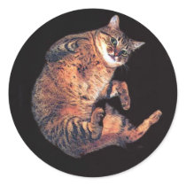 katz5 stickers by REDINARD katz5 stickers