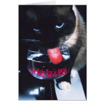 Katz Bar Card cards