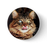 katz buttons