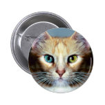 Katz Button