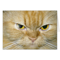 Katz Greeting Cards