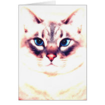 Katz Cards