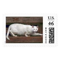 Katz postage