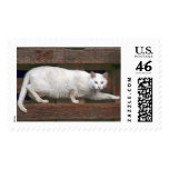Katz postage