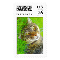 Katz postage
