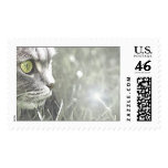 Katz Postage Stamp