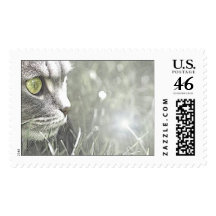 Katz Postage Stamp