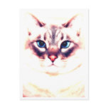 Katz postcards