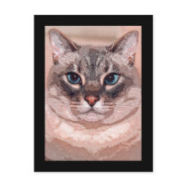 Katz Post Cards