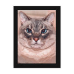 Katz postcards