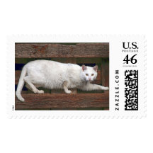 Katz Stamp